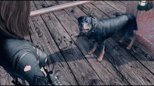 Песель и Нора.. Fallout-4 (Сборка 9.0)