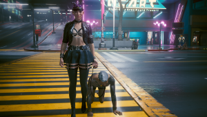 А по ночам Ви выгуливает Керри.