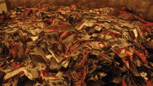 Угли.. Skyrim SE (Тропики 7.0)