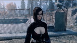 НОРА. Fallout-4 (Сборка 10)