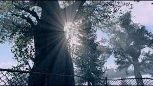 Пейзажик.. Fallout-4 (Сборка 10)