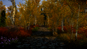 Skyrim SE - Берёзы