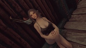 Лиса.. SKYRIM AE (Сборка 15)