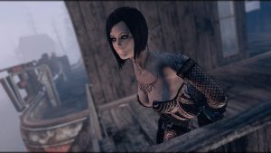 Высоко стою - далеко гляжу. Fallout-4 (Сборка 10.5)