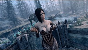 Зашла на пост поселения. Fallout-4 (Сборка 10.5)