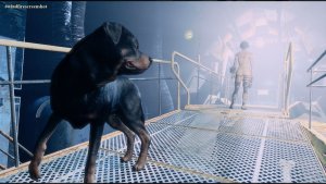 Пса позвали.. Fallout-4 (Сборка 10.5)
