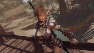 На мосту. SKYRIM AE (Сборка 15)