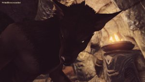 Рауф в форме оборотня. SKYRIM AE (Сборка 15)