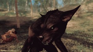 Почти не подглядывает ;) SKYRIM AE (Сборка 15)