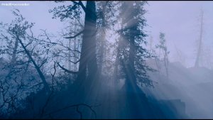 Солнечные лучи сквозь туман. Fallout-4 (Сборка 10.5)