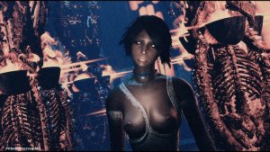 В готическом стиле. Fallout-4 (Сборка 10.5)