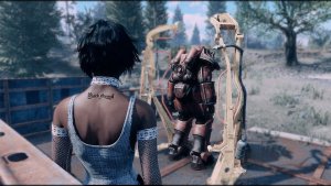 Пред облачением в броню. Fallout-4 (Сборка 10.5)