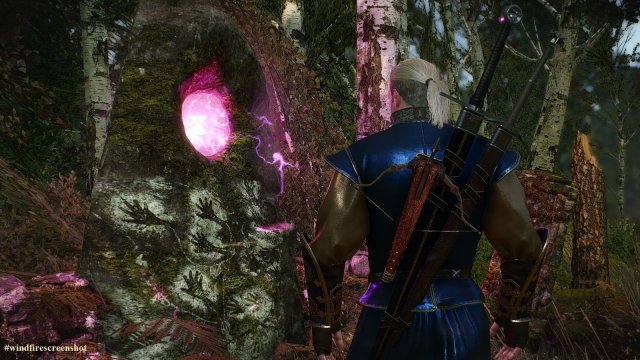 The Witcher 3 Screenshot 2025.04.12 - 21.42.02.09.jpg