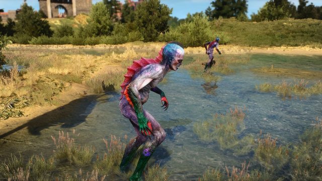 The Witcher 3 Screenshot 2025.04.26 - 22.11.39.88.jpg