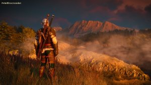 Пейзажное, с Геральтом.. Ведьмак III