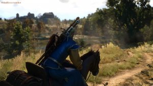 Верхом.. Ведьмак III (сборка Торна)