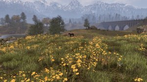 Целое море цветов... и лошадок ничейных))