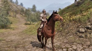 9 Легенданый имперский стражник.