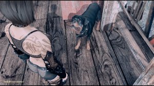 Нора берет пса с собой.. Fallout-4 (Сборка 10.5)