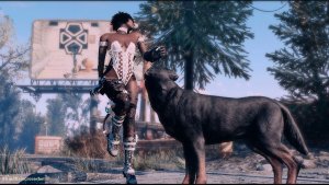С псиной на прогулке. Fallout-4 (Сборка 10.5)