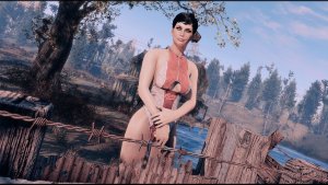Поселенка на посту. Poselenia Windfire Fallout-4