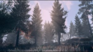 Пейзажик. Fallout-4 (Сборка 10.5)