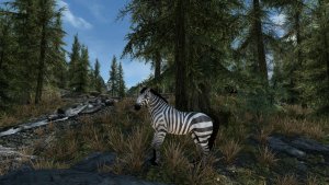 Зебра? Откуда? Ну.. пусть будет.