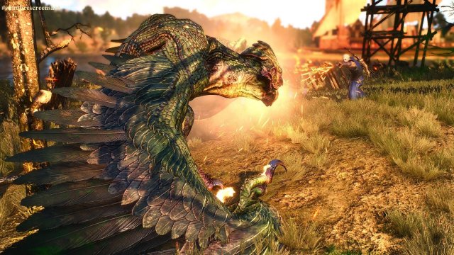 The Witcher 3 Screenshot 2025.04.15 - 00.09.05.22.jpg