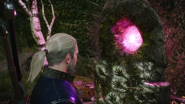 The Witcher 3 Screenshot 2025.04.12 - 21.42.12.76.jpg