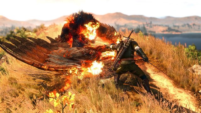 The Witcher 3 Screenshot 2025.04.29 - 20.32.46.05.jpg