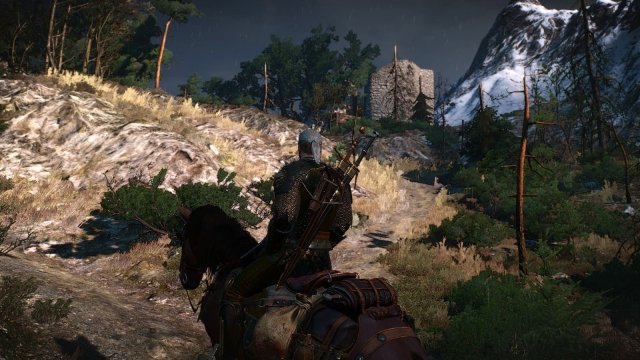 The Witcher 3 Screenshot 2025.05.17 - 21.37.29.25.jpg