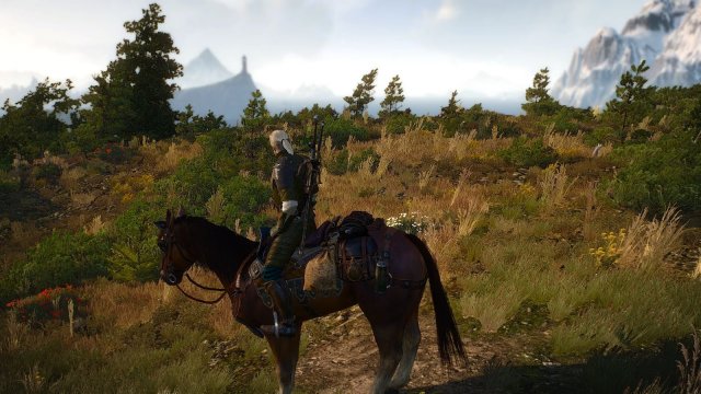 The Witcher 3 Screenshot 2025.05.02 - 20.42.32.59.jpg