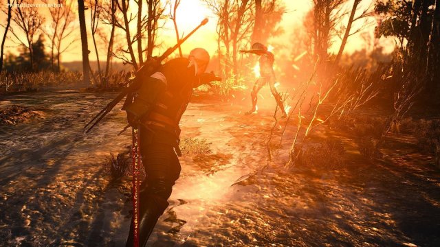 The Witcher 3 Screenshot 2025.04.27 - 20.06.57.59.jpg