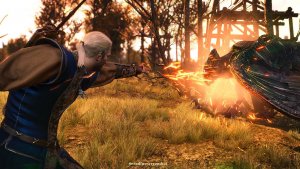 Геральт жарит Василиска! Ведьмак III (сборка Торна)