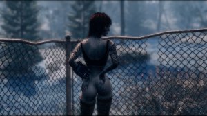 Надо найти обход.. Fallout-4 (Сборка 11)