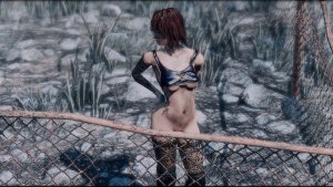 Надо чинить заборы.. Fallout-4 (Сборка 11)