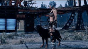 Собака друг человека! )) Fallout-4 (Сборка 11)