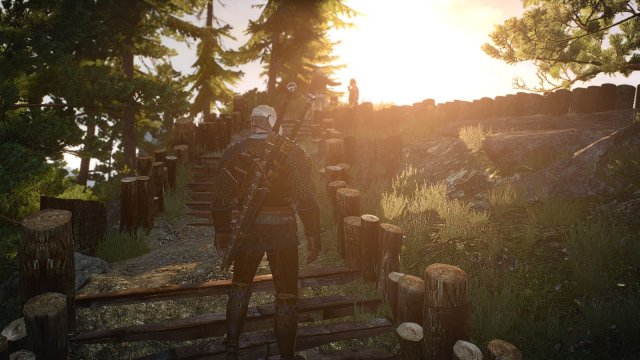 The Witcher 3 Screenshot 2025.05.06 - 23.06.13.96.jpg