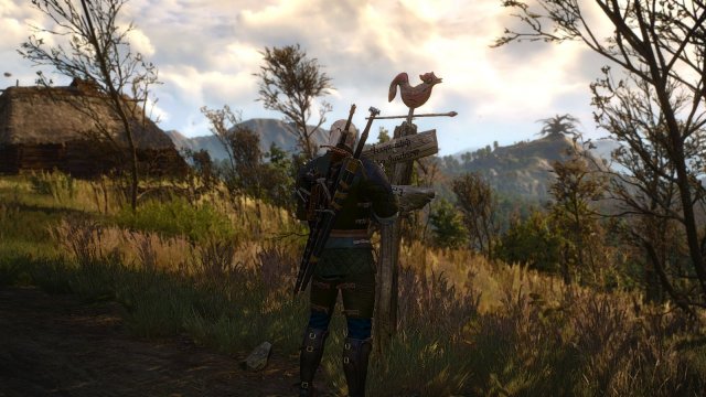 The Witcher 3 Screenshot 2025.05.02 - 22.41.43.60.jpg