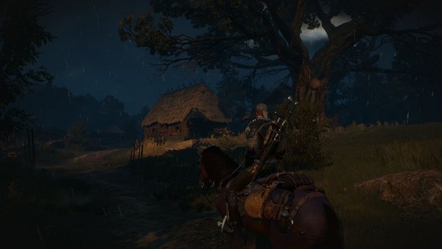 The Witcher 3 Screenshot 2025.05.15 - 22.07.01.08.jpg