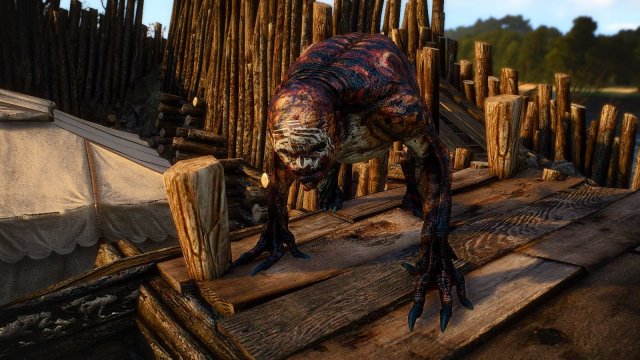 The Witcher 3 Screenshot 2025.04.27 - 19.23.19.14.jpg