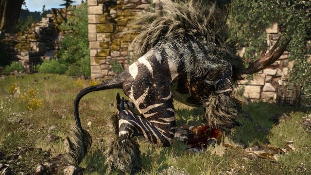 The Witcher 3 Screenshot 2025.05.19 - 23.09.37.16.jpg