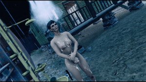 Душ после огородов.. Poselenia Windfire Fallout-4