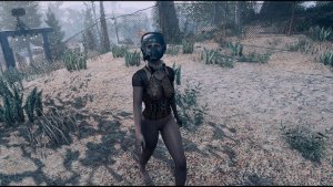 Сменилась на посту.. Poselenia Windfire Fallout-4