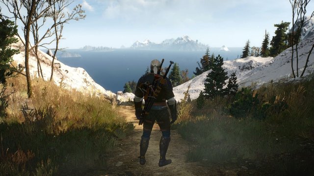 The Witcher 3 Screenshot 2025.05.03 - 22.15.41.51.jpg