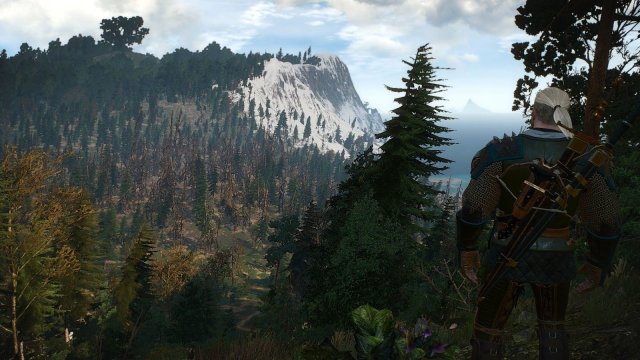 The Witcher 3 Screenshot 2025.05.17 - 22.38.49.78.jpg