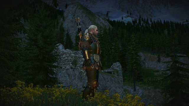 The Witcher 3 Screenshot 2025.06.17 - 22.50.42.56.jpg