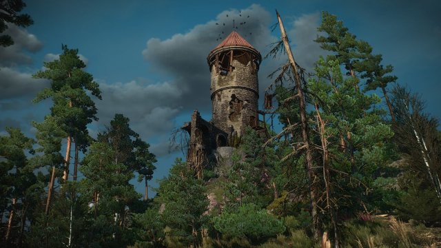 The Witcher 3 Screenshot 2025.05.03 - 22.44.52.40.jpg