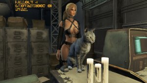 Братство стали