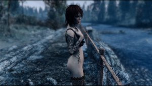 Нел ждет гостей. Fallout-4 (Сборка 11)